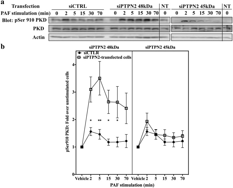 Fig. 7