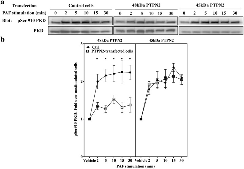 Fig. 6