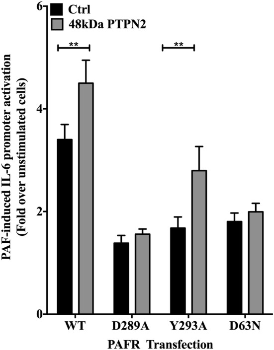 Fig. 4