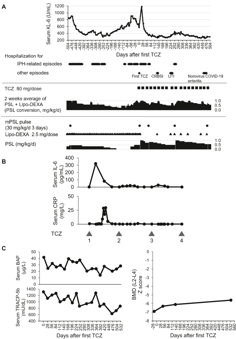 Fig 5