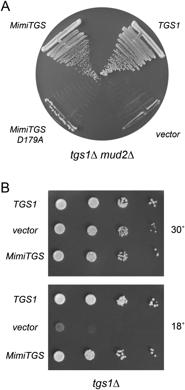 FIGURE 6.