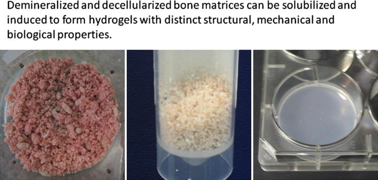 graphic file with name fx1.jpg