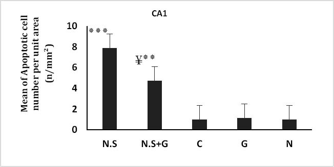 Figure 2B