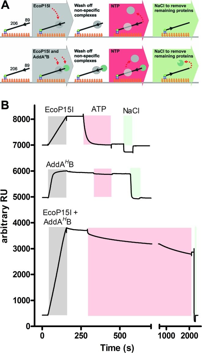 Figure 5.