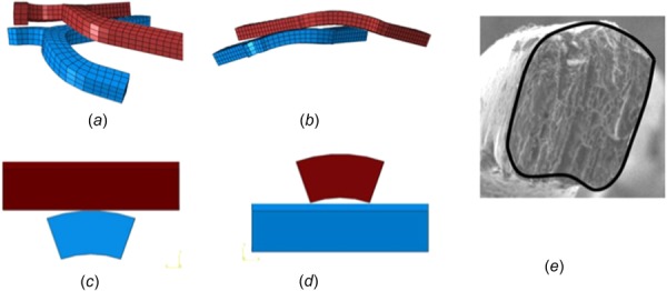 Fig. 10