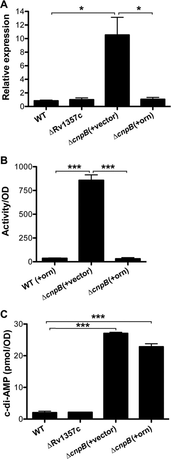 FIG 3