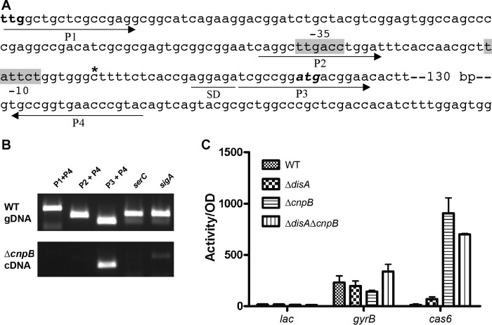 FIG 2