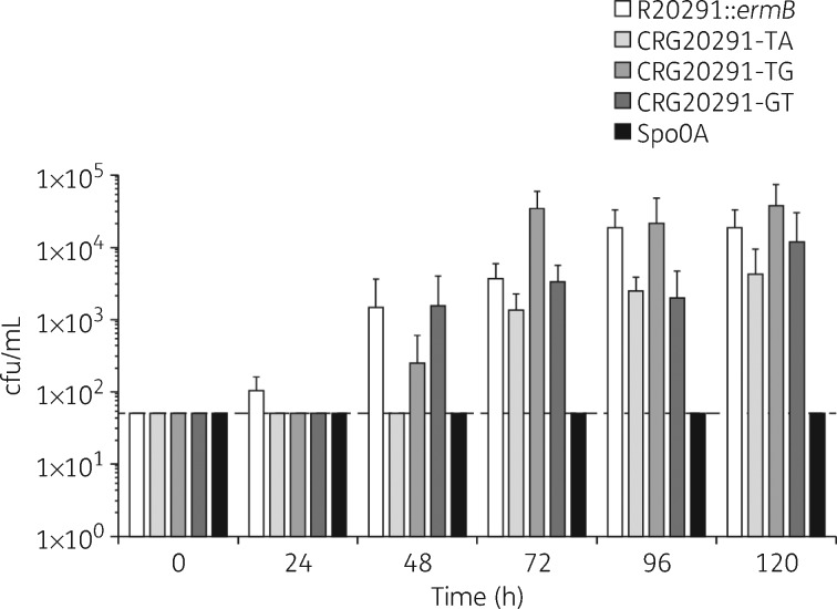 Figure 4.