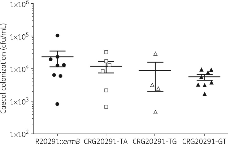 Figure 7.