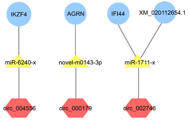 Figure 7