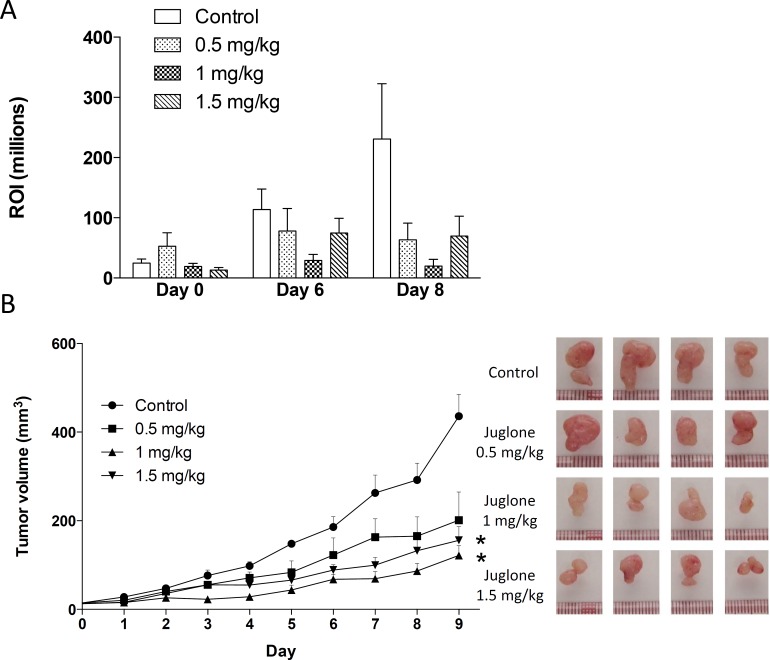 Fig 4