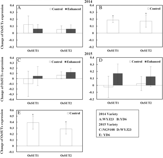 PPL-12973-FIG-0003-b