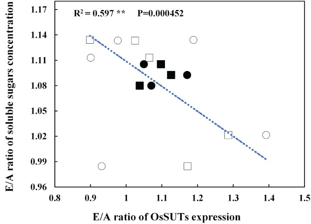 PPL-12973-FIG-0004-c