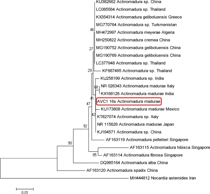 Fig. 4