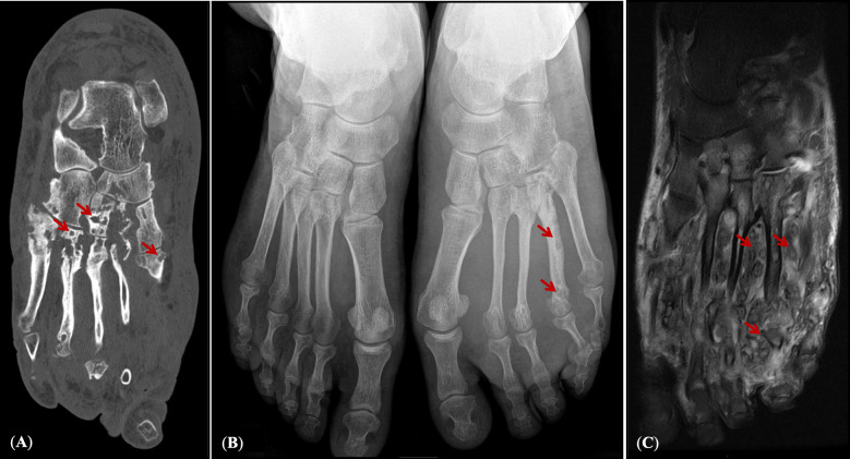 Fig. 3