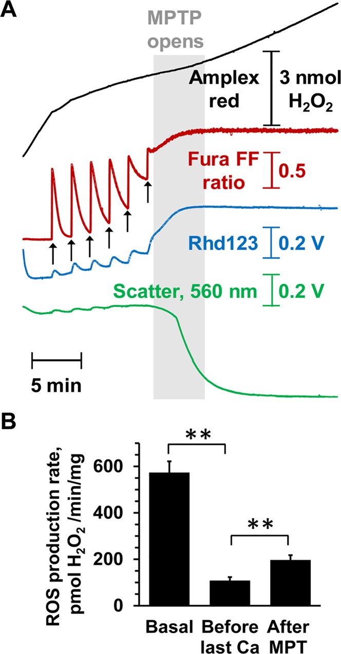 Fig 12