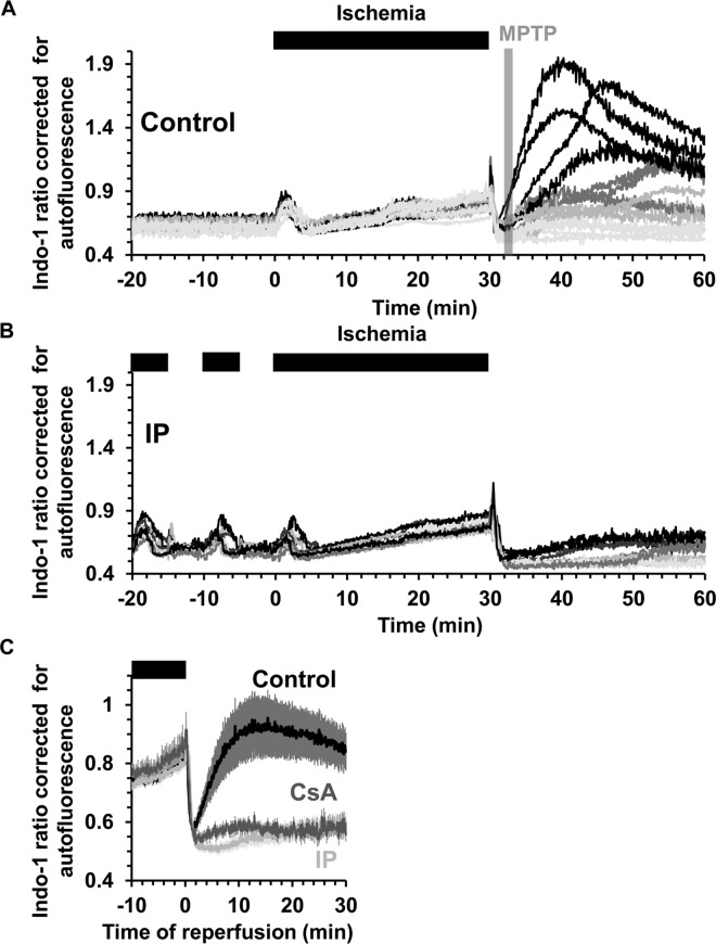 Fig 10