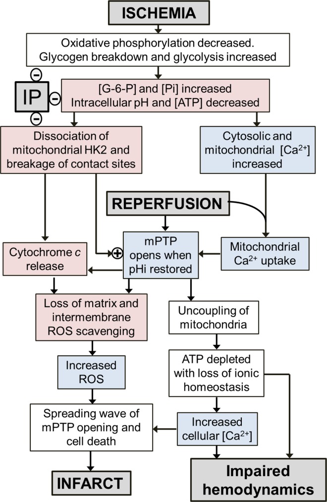 Fig 13