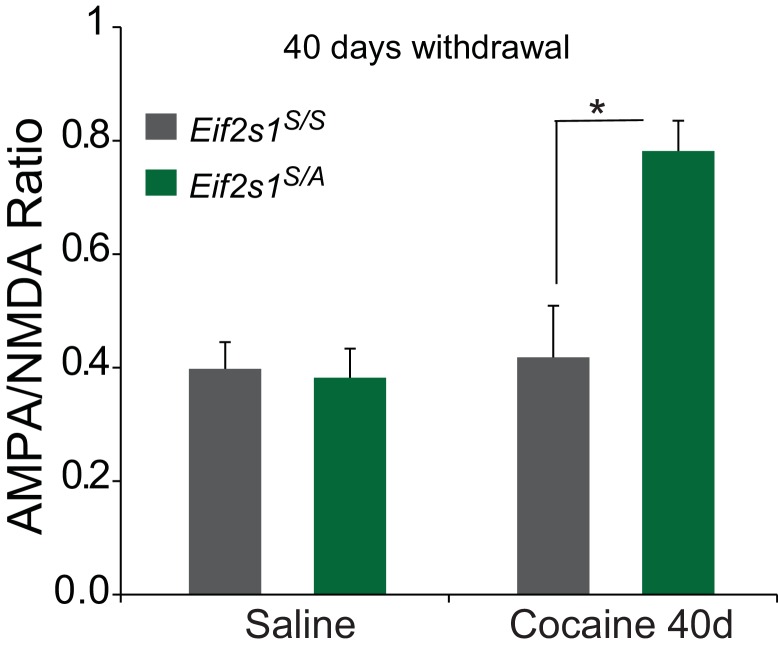 Figure 2—figure supplement 1.