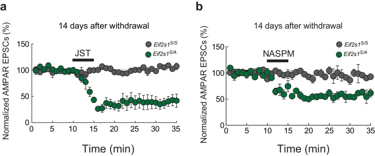 Figure 3—figure supplement 1.