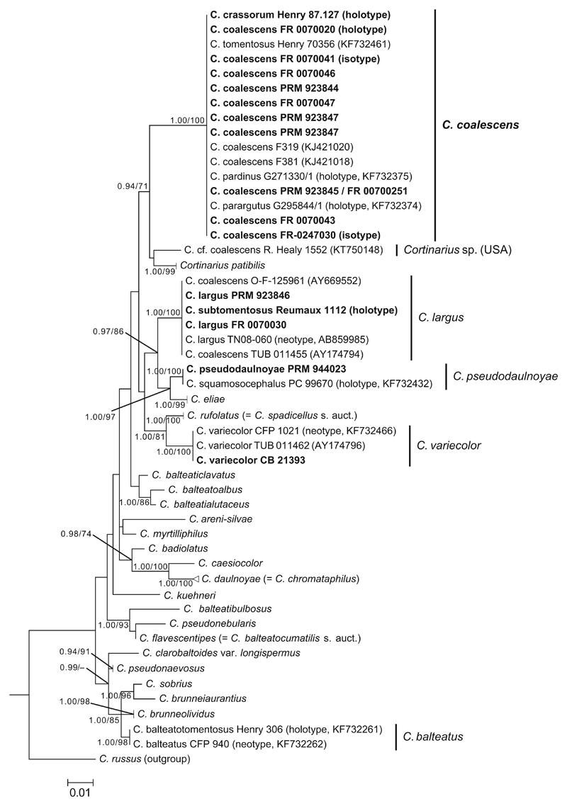 Fig. 4