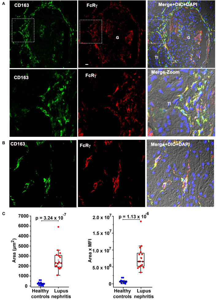 Figure 6