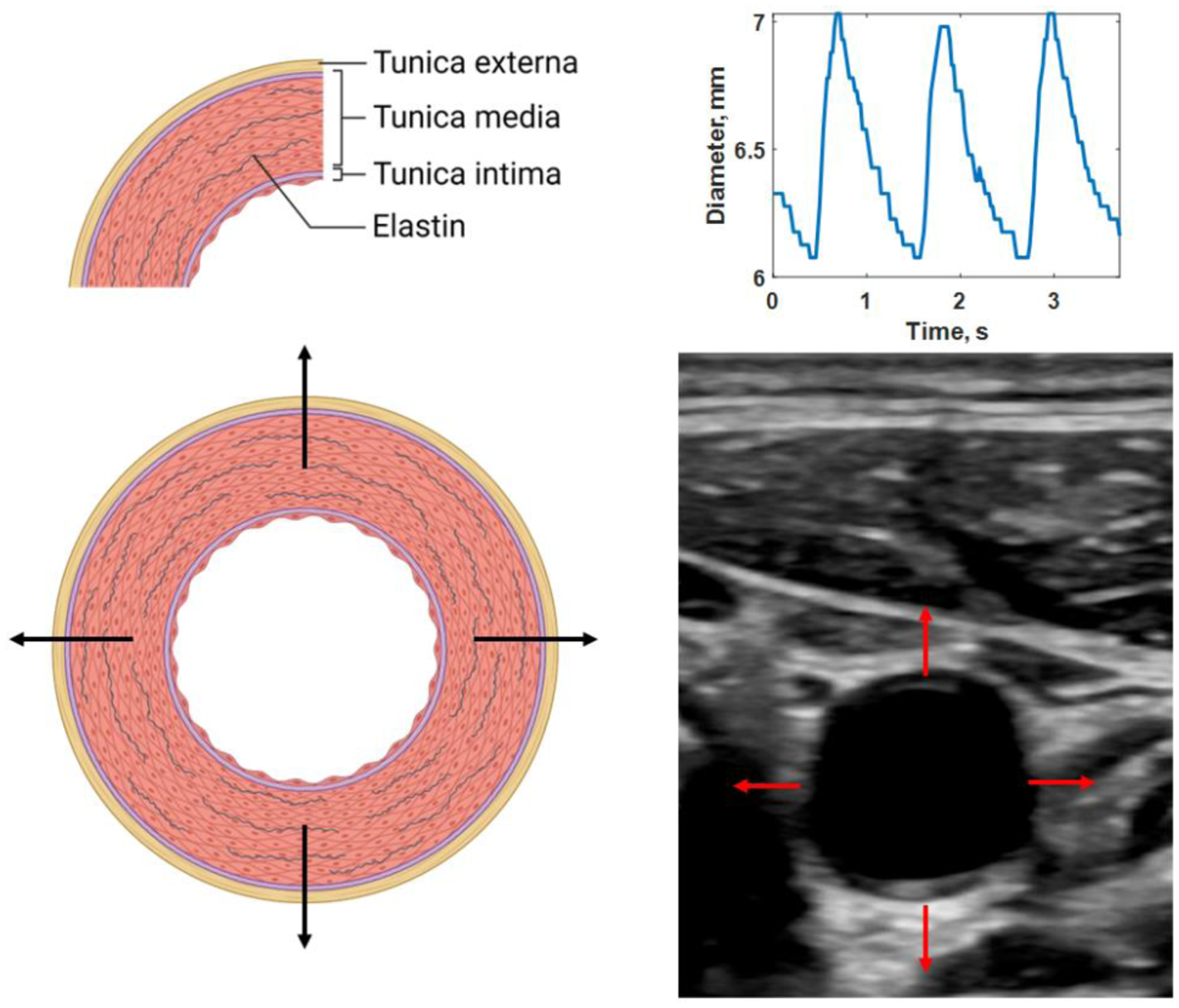 Figure 1.