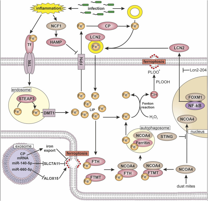 FIGURE 2