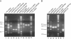 FIG.2.