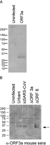 FIG. 5.