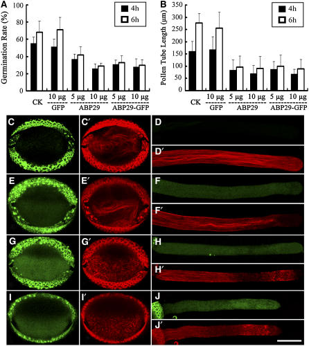 Figure 10.