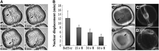 Figure 9.