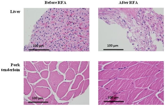 Fig 9