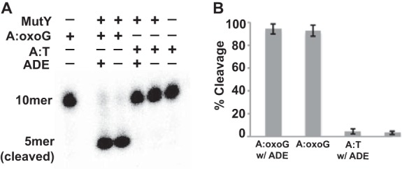 FIGURE 4.