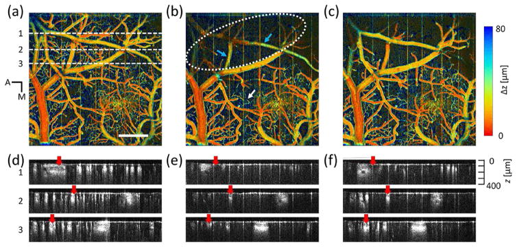 Fig. 3