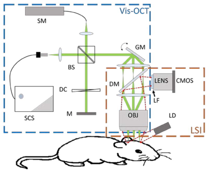 Fig. 1