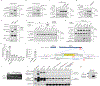 Extended Data Figure 1.