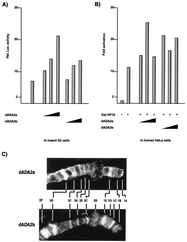 FIG. 6.