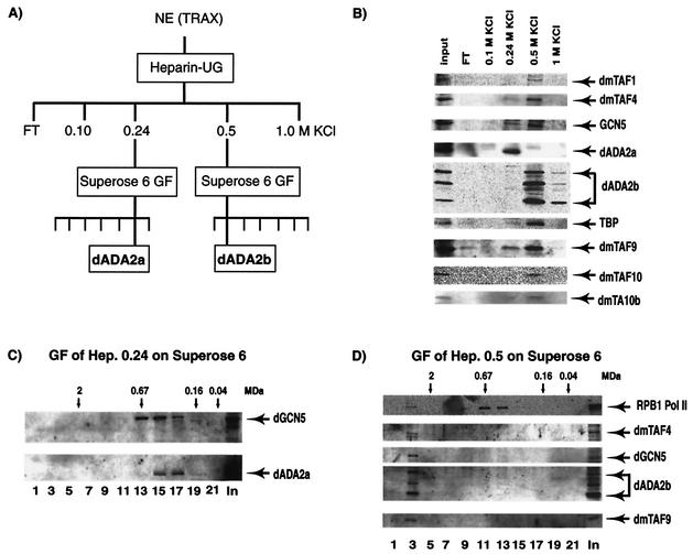 FIG. 5.