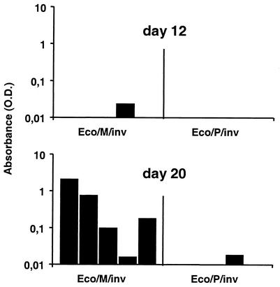 FIG. 4.