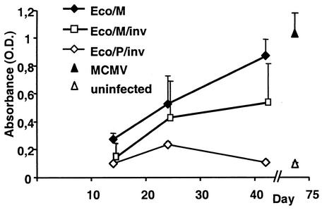 FIG. 5.