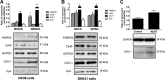 FIG 6