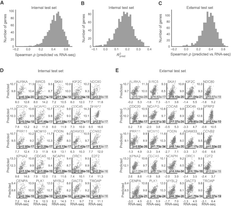 Figure 2. Summary of model performance on test sets. A, Distribution of Spearman in the internal test set. B, Distribution of R2pred in the internal test set (Ngenes = 1,011; one gene with a predicted R2 < −0.1 was excluded from the figure for clarity). C, Distribution of Spearman < in the external test set (Ngenes = 995). D, Scatter plot of EMO-predicted and RNA-seq estimated gene expression values for the 25 top performing genes in the internal test set. E, Scatter plot of EMO-predicted and RNA-seq estimated gene expression values for the same 25 genes in the external test set.