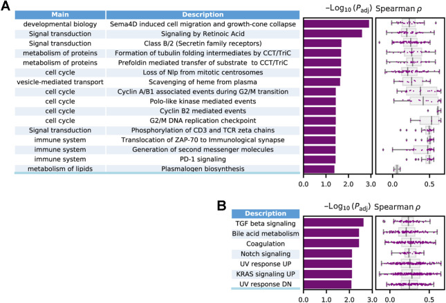 Figure 3. GSEA on whole transcripts. A, Pathway analysis of EMO predictions by GSEA in the Reactome database, revealing 16 significant pathways. The bar plot shows the log-transformed adjusted P values for each pathway, and the boxplot shows the model performance in terms of Spearman < between EMO-predicted and RNA-seq expression (validation set) for each gene in each individual pathway. B, GSEA results using the Hallmark gene set, with seven identified pathways.