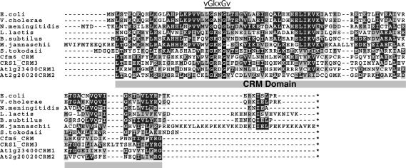 FIGURE 1.