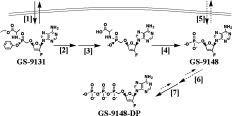 FIG. 7.