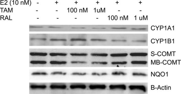 Fig. 9