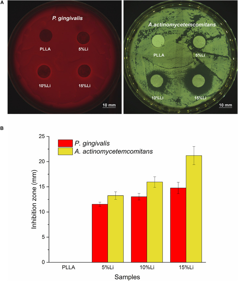 FIGURE 13