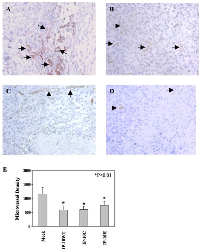 FIG. 6