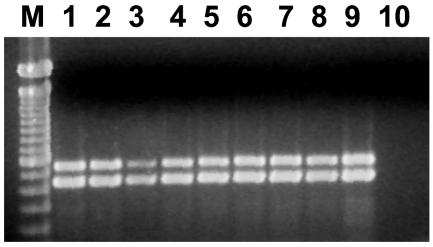 FIG. 5.